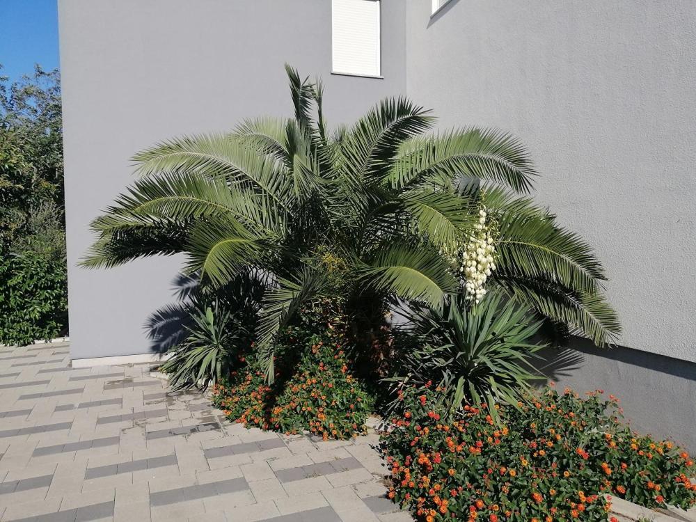 Apartment Zatonka 2 ซาตอน ภายนอก รูปภาพ